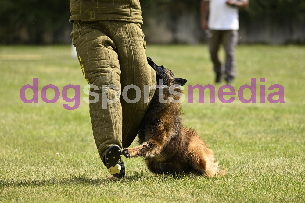 Preview _JRI_20187.jpg